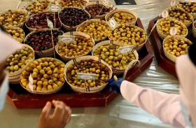 مهرجان ليوا للرطب ينطلق اليوم