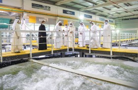 محمد بن راشد: التوسع في إنتاج الغذاء محليا خيار استراتيجي وركيزة أساسية لمنظومة الأمن الغذائي للإمارات