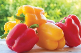 أهمية إدخال الفلفل الملوَّن في نظامك الغذائي