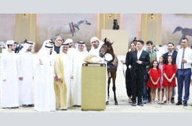 دي بركان ودي نيران يشعلان طفرة جديدة