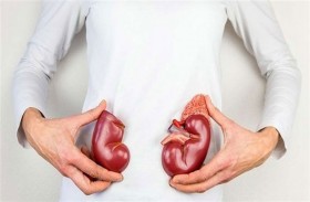 هرمونات المرأة حماية ضد إصابات الكلى الحادة