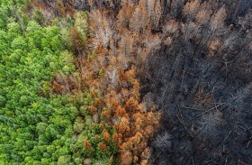 «العالمية لطاقة المستقبل» تناقش مخرجات COP28 وتستضيف مؤتمراً مخصصاً للمناخ والبيئة