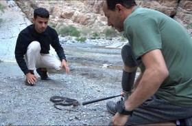عراقي يواجه أفعى الكوبرا بشجاعة