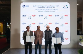 «سلال» و«آي كيو بيريز» تتعاونان للتوسع  في إنتاج التوت الأزرق بالدولة