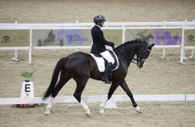 الإمارات تستضيف 5 بطولات دولية للترويض