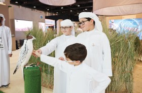 عالم الصقور والتراث يستقطب الأطفال في جناح نادي صقاري الإمارات بمعرض أبوظبي الدولي للصيد