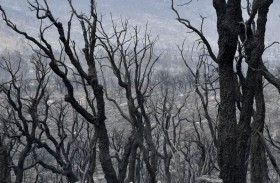 قضية هزت الجزائر.. كواليس الحكم بإعدام 48 شخصا