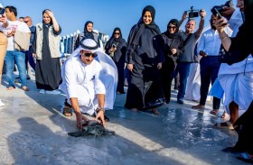 إطلاق 214 سلحفاة إلى موائلها الطبيعية