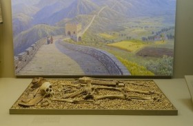 أعرق متحف في نيويورك يزيل جميع الرفات البشرية من العرض