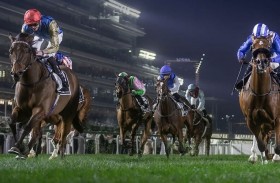 94 خيلاً تتنافس على 10 ملايين درهم في أمسية «فاشن فرايداي»