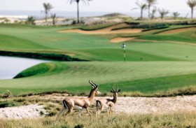  الفنادق المستدامة في الإمارات .. خدمات فاخرة وحماية لموارد الطبيعة