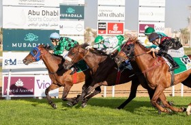 اليوم.. 80 خيلاً في السباق الثالث عشر للخيول مضمار أبوظبي 