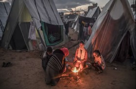 نازحو غزة يبحثون عن أخشاب تقيهم برد الشتاء في مخيمات رفح
