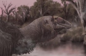 العثور على جمجمة طائر انقرض منذ 45 ألف عام