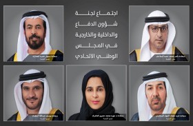 لجنة بالوطني الاتحادي تنتهي من مناقشة مشروع قانون إنشاء المركز الدولي للتميز في مكافحة التطرف والتطرف العنيف 