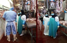 بلدية مدينة أبوظبي تدرب عددا من خريجات جامعة الإمارات للعمل في مسالخ أبوظبي   