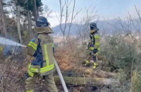 اليابان تنشر 2000 عنصر إطفاء لمكافحة حريق غابات  