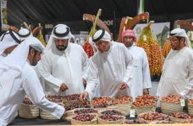 تحت رعاية منصور بن زايد .. انطلاق فعاليات مهرجان ليوا للرطب 15 يوليو