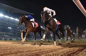 «هيئة سباق الخيل»: الإمارات مركز رئيسي لتصدير واستيراد الخيل في المنطقة