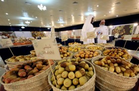 23 مسابقة رئيسية خصص لها 293 جائزة بقيمة تبلغ 8 ملايين و300 ألف درهم إماراتي