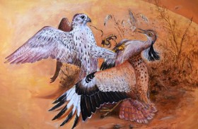 مركز الصقور في دبي .. وجهة فريدة للتعرف على عالم القنص وأسراره