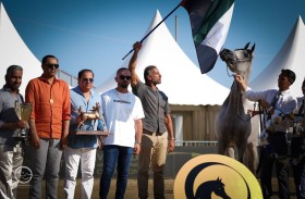 إحراز حصيلة قياسية عالمية من الذهب وألقاب الأفضلية