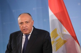 مصر تدعو إلى تسوية شاملة للأزمة السورية