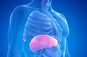 تطوير علاج لمرض خطير يصيب الكبد