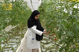 «نزرع للاستدامة».. مشروع جديد يعزز دور المرأة الإماراتية في القطاع الزراعي