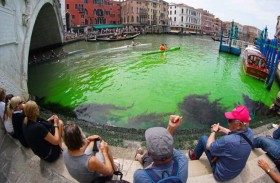 مياه القنال الكبير في البندقية تتحوّل إلى الأخضر 