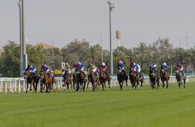 «مضمار أبوظبي» يفتتح موسم السباقات في الإمارات بمشاركة 96 خيلا