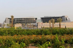 جامعة الإمارات تجري دراسة نوعية لاحتياجات سوق العمل لخريجي العلوم الإنسانية والاجتماعية