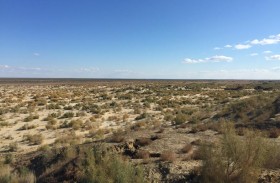 تعاون بين «إكبا» و «زراعة أوزبكستان» لتعزيز الإنتاج الزراعي في المناطق المتدهورة بحوض بحر الآرال