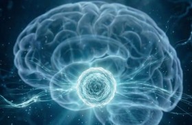 «أبوظبي للخلايا الجذعية» يطوّر تقنية متقدمة لإنتاج خلايا دماغية مشتقة من المريض