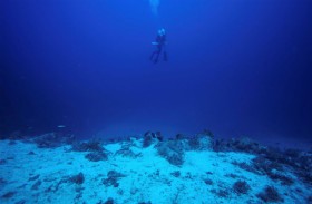 دراسة: اكتشاف نظام بصري جديد لدى أسماك أعماق البحار