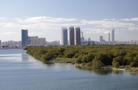 مؤتمر صون أشجار القرم ينطلق 10 ديسمبر في أبوظبي