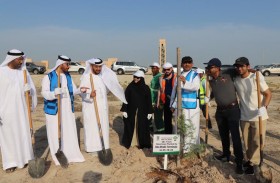 الإمارات للبيئة تزرع 2.13 مليون شتلة محلية في مختلف إمارات الدولة