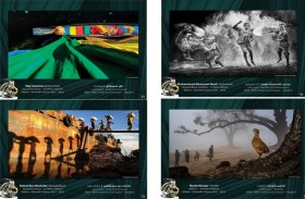 جائزة حمدان بن محمد الدولية للتصوير تُعلن الفائزين بموسم «الطبيعة» 