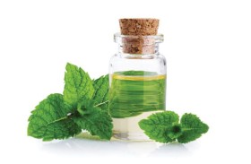 زيت النعناع 