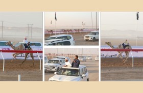انطلاق التمهيدي الثالث لمهرجان العين للهجن و البداية بالحقايق
