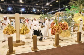 دبي للرطب يطلق «شوط تمرة البيت» لترسيخ قيمة النخلة كرمز يجمع الأسرة والمجتمع