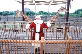 دبي سفاري بارك تطلق قرية  الاحتفالات الشتوية.. عالم شتوي رائع ومشوق