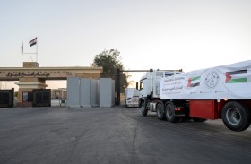 دخول قافلتي مساعدات إماراتية إلى قطاع غزة تحملان 260 طنا من المساعدات الإنسانية