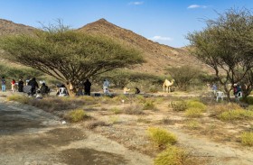 برعاية محمد الشرقي.. الفجيرة تستضيف إقامة فنيّة لتدريب 20 فنانا إماراتيا