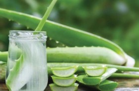 احذر الألوفيرا.. رغم فوائدها لا تناسب الجميع!