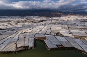 «البحر البلاستيكي».. مدينة تطعم نصف مليار شخص