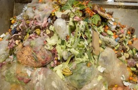 مقترح برلماني للتصدي لظاهرة هدر الطعام