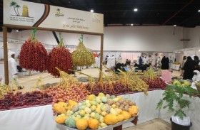 غرفة الشارقة تنهي كافة استعداداتها لإطلاق فعاليات النسخة السابعة من مهرجان الذيد للرطب