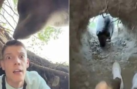 يدخل كهف دب ليصبح مشهوراً