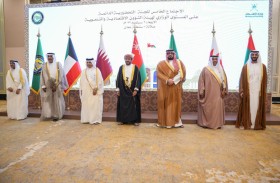  الإمارات تؤكد التزامها تحقيق الوحدة الاقتصادية بين دول التعاون 